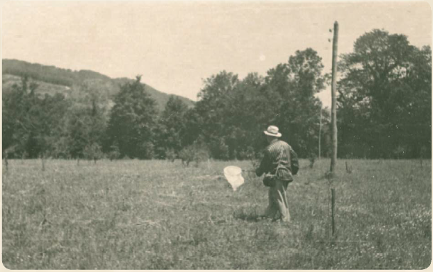 �. �. ������������, ���� 1950-� ��. �� ��������� ������.png