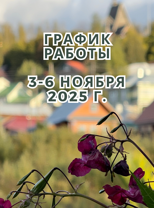 ������ ������ �� 3-6 ������ 2025 �.