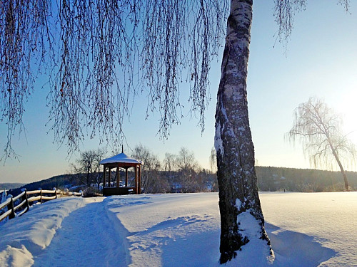 ������ ������ �������� �����-����������� � ����� 2026 �.